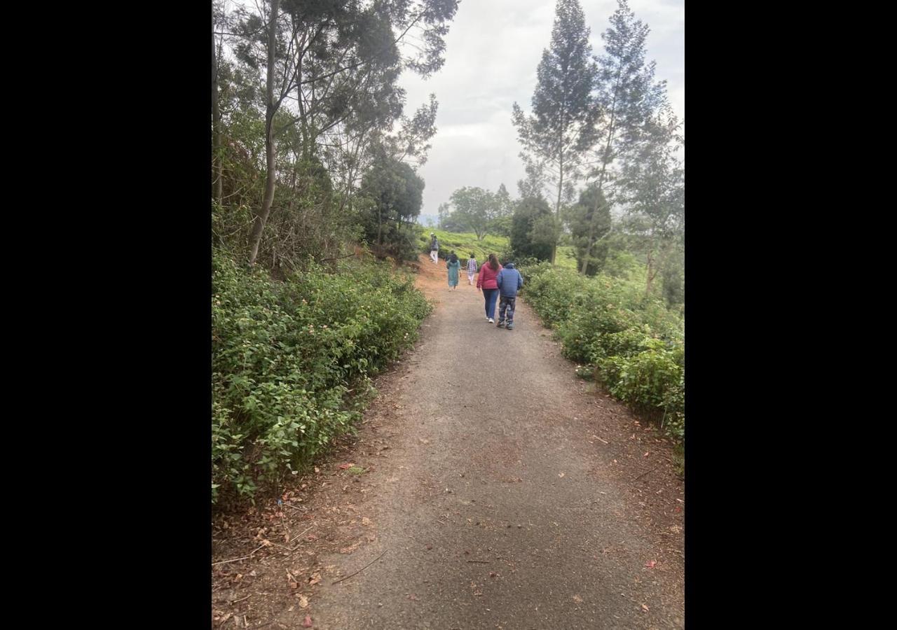 Sleeping Beauty By Nature And Coonoor