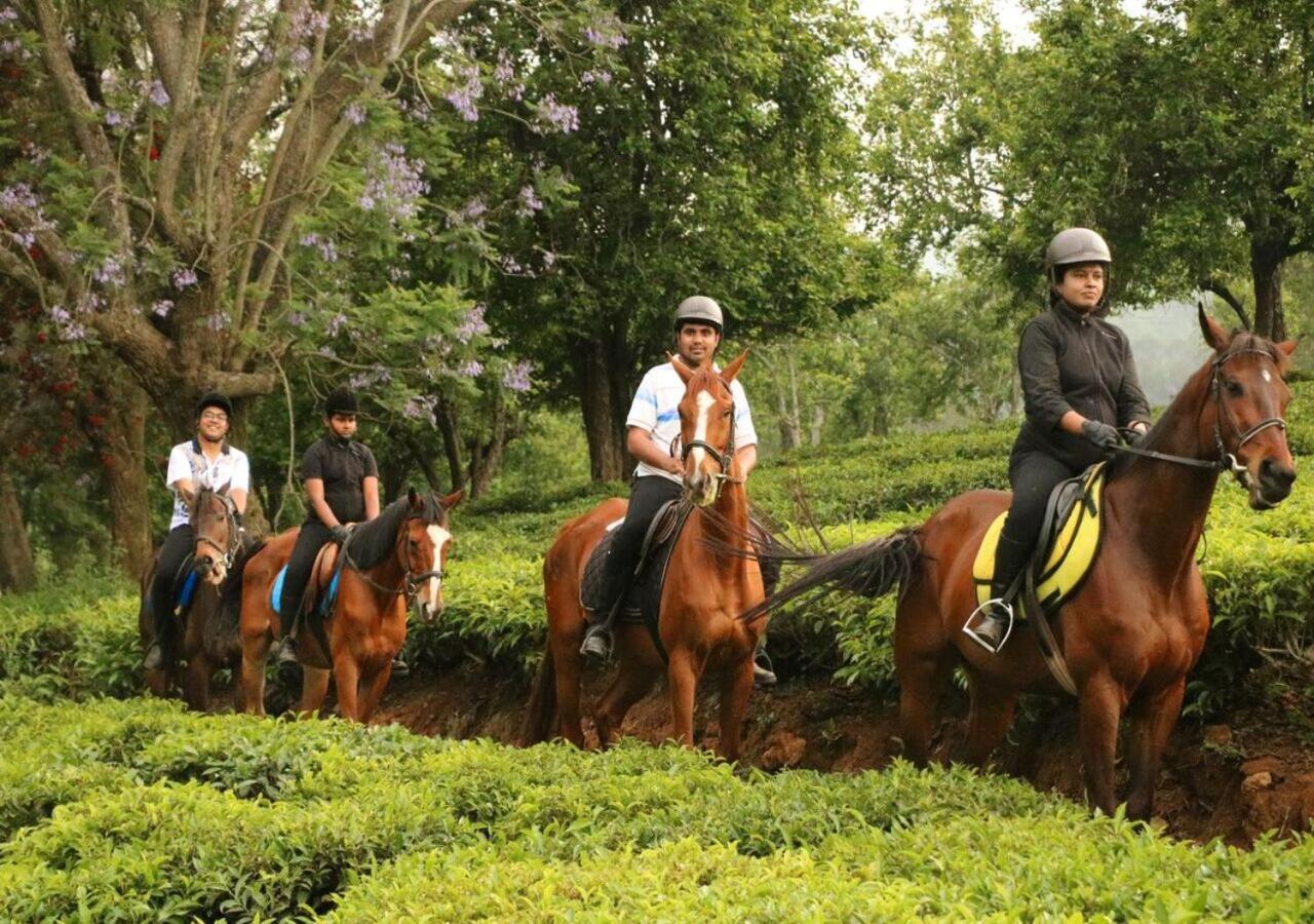 Sleeping Beauty By Nature And Homestay *